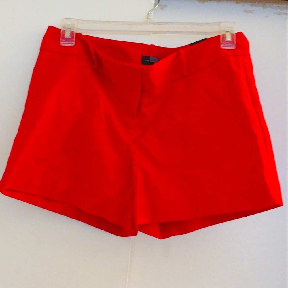 Dressy shorts